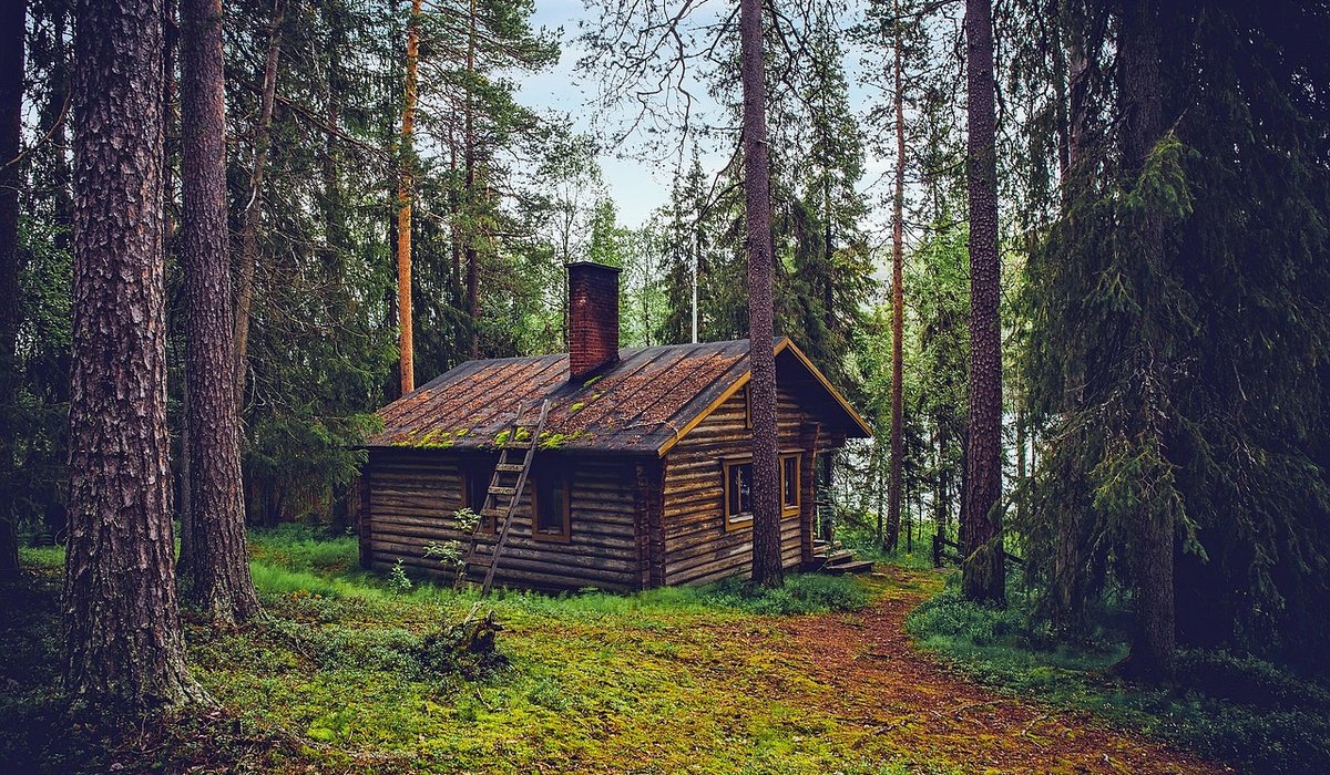 Tending Cabin