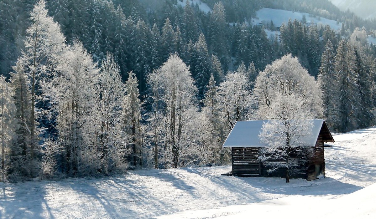 Tending Cabin