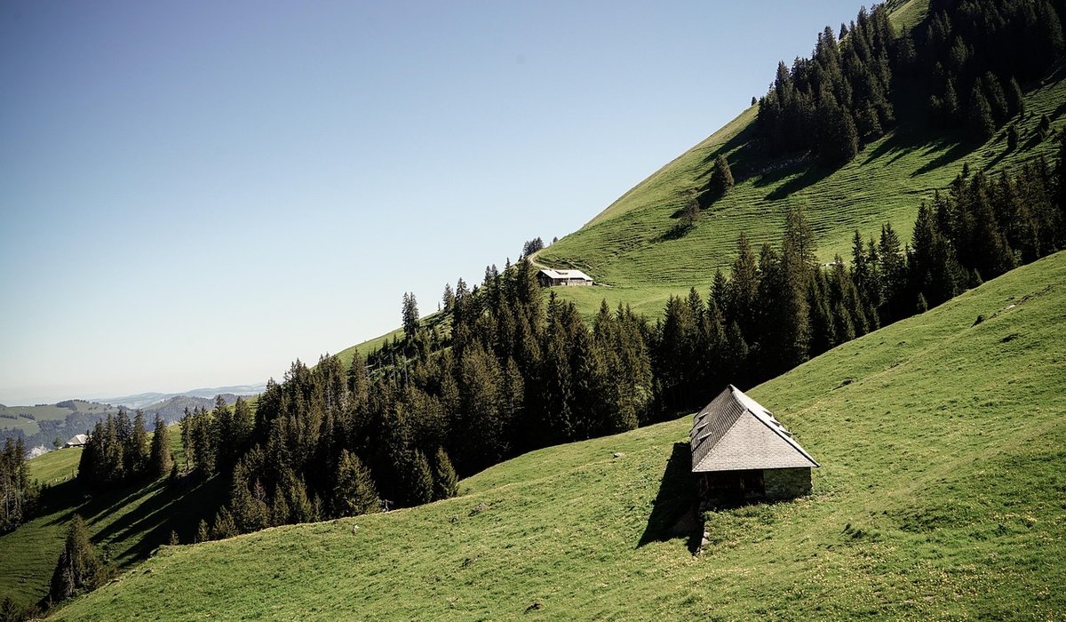Tending Cabin