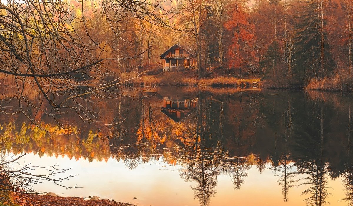 Tending Cabin