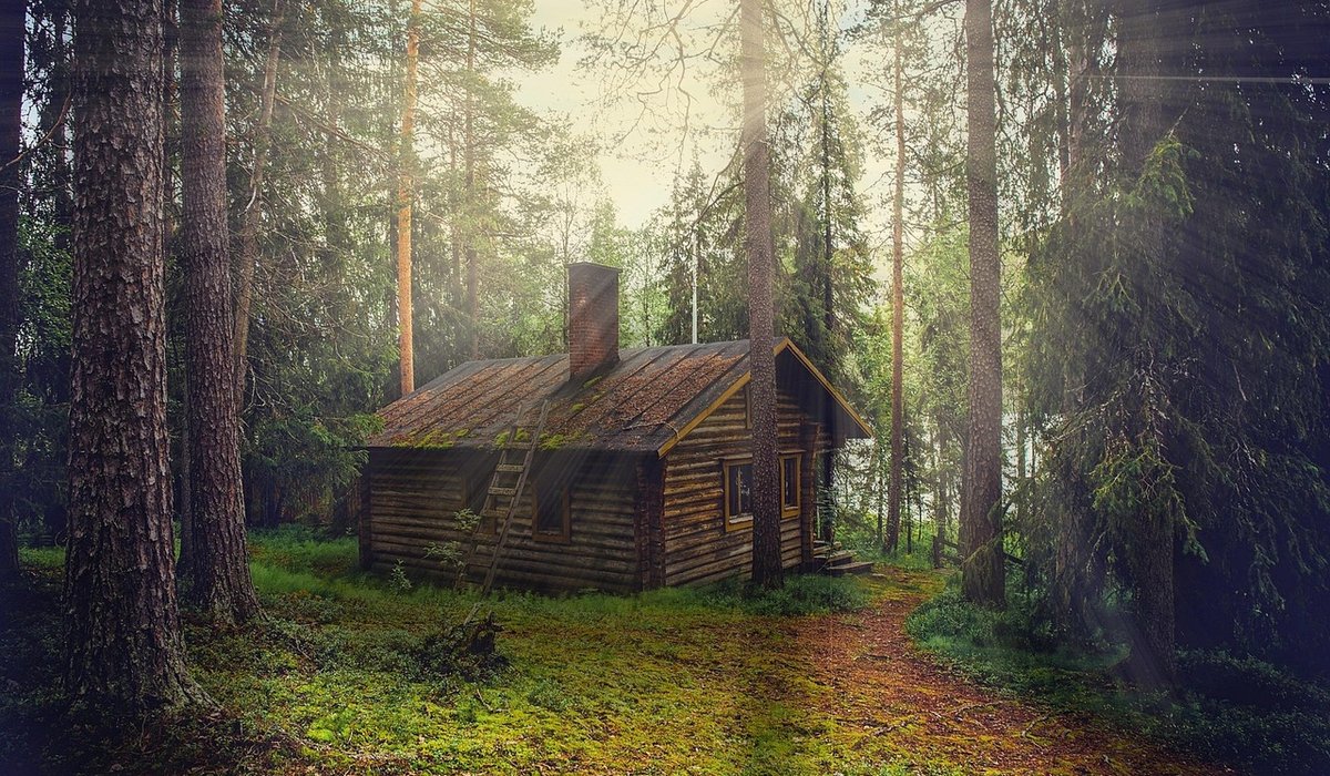 Tending Cabin