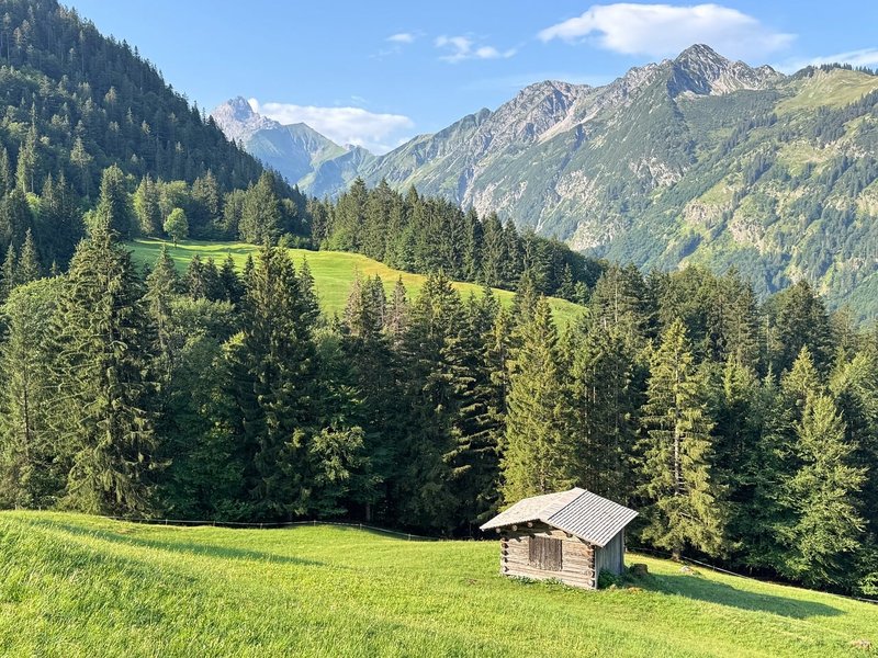 Tending Cabin