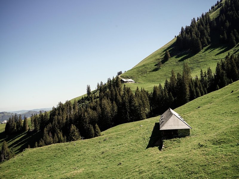 Tending Cabin