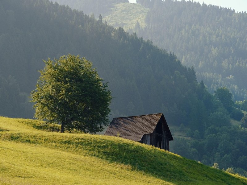 Tending Cabin