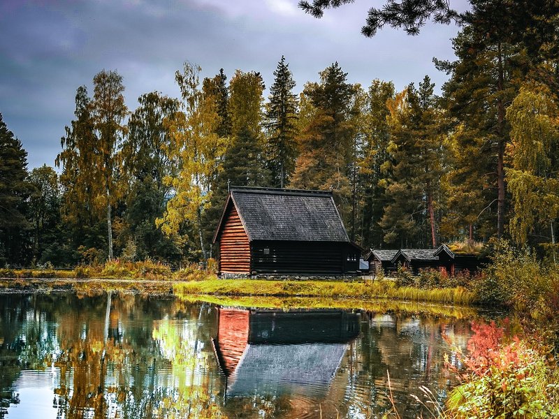Tending Cabin