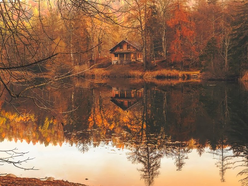 Tending Cabin