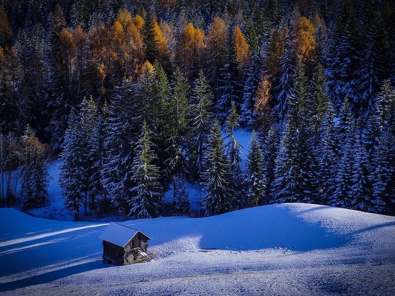 Tending Cabin