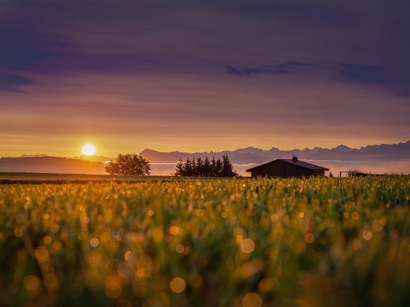 Tending Cabin