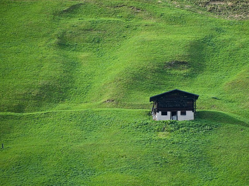 Tending Cabin
