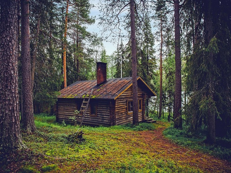 Tending Cabin
